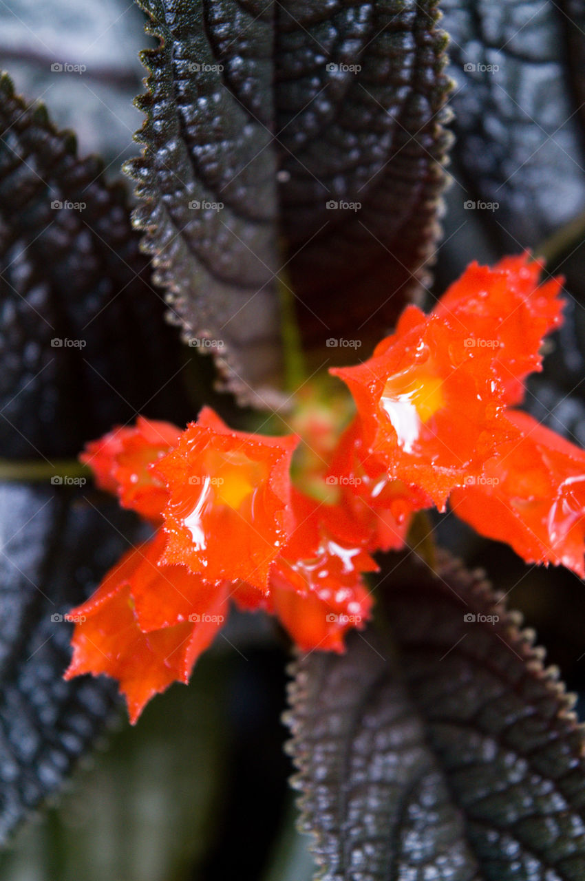 will a glass of water go?