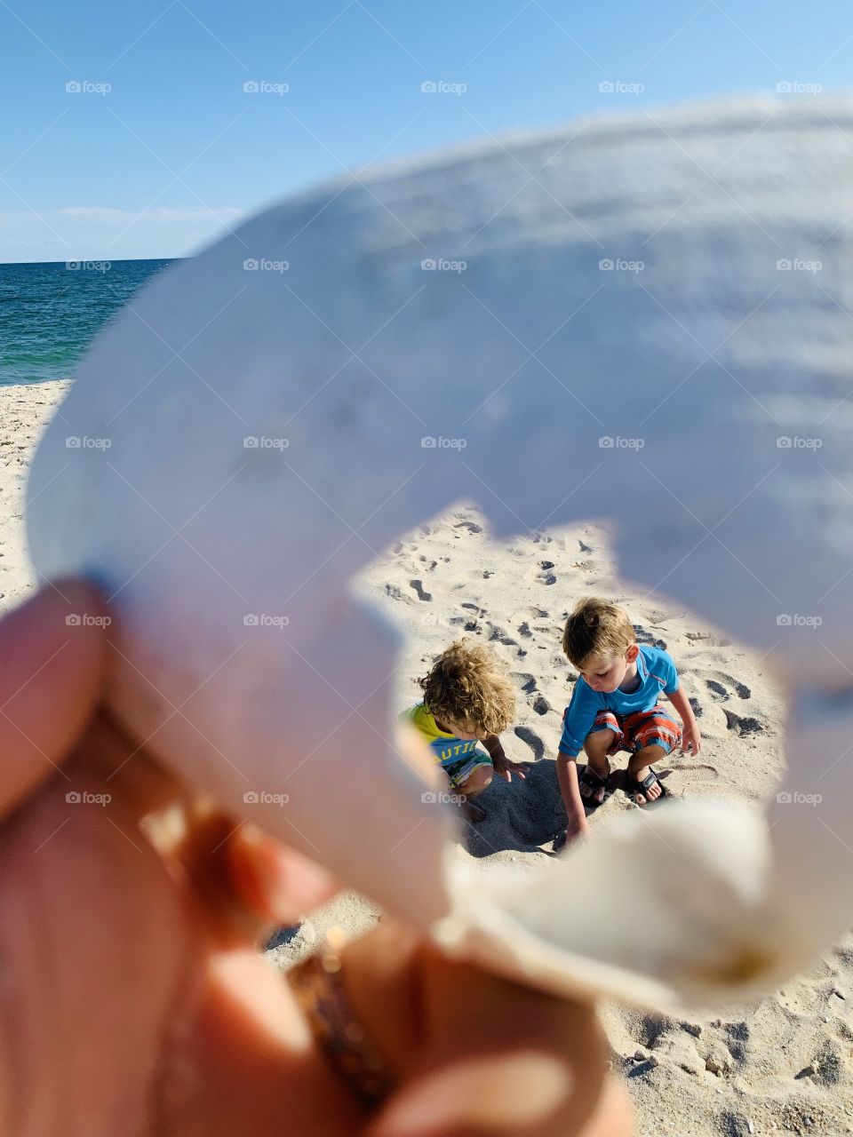 Life through a sea shell. Fun in the sun on the beach. 