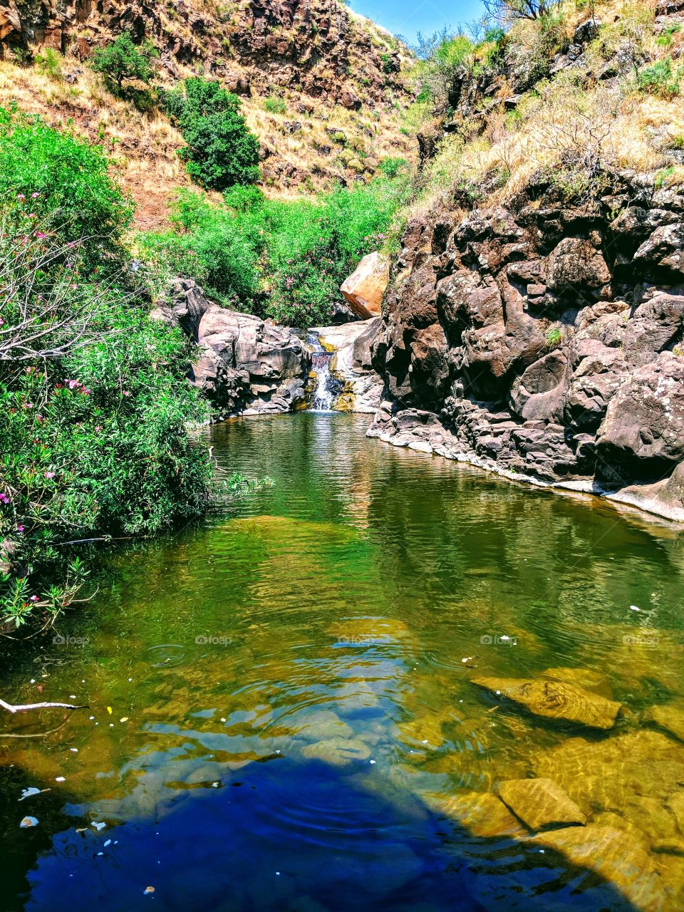 Natural stream and waterfall of the Golan Heights, Yahudiya Nature Reserve