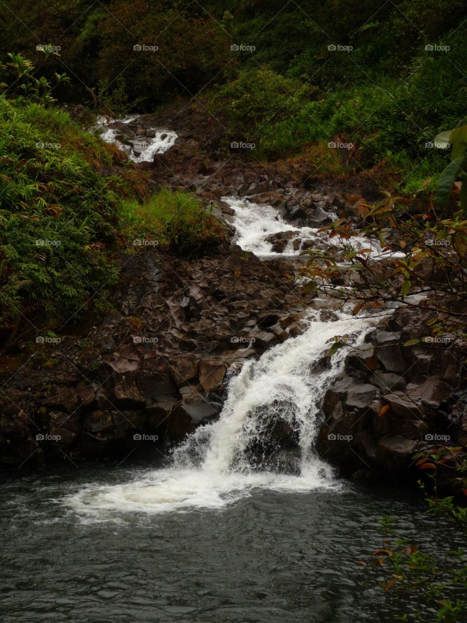 Maui, Hawaii 