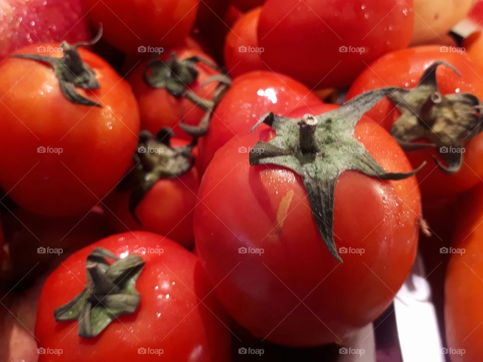 Fresh Tomato