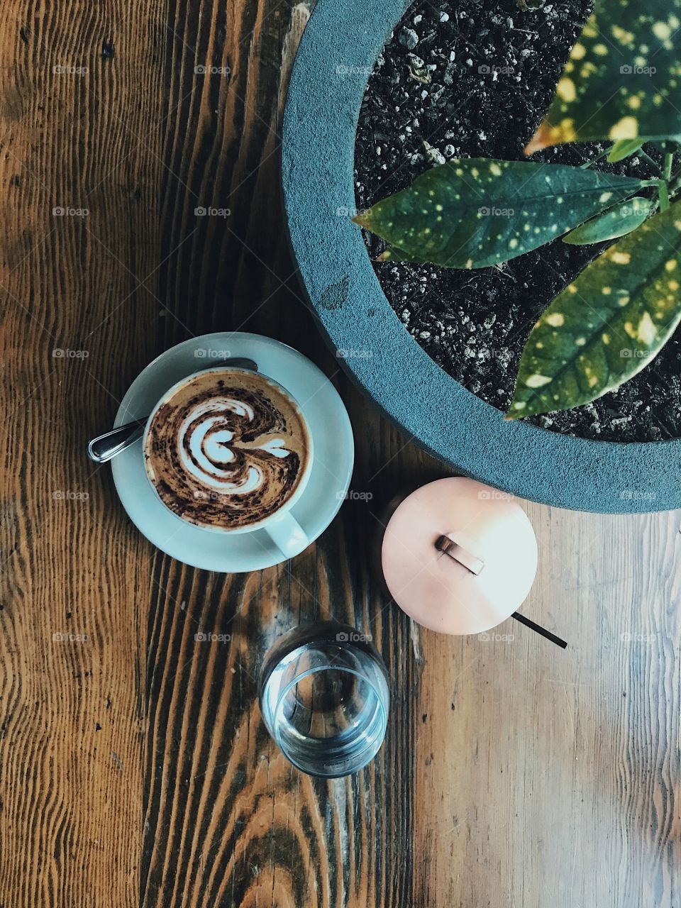 Cappuccino with a dusting of chocolate and some nice latte art sitting next to a plant on a table with window light. 
