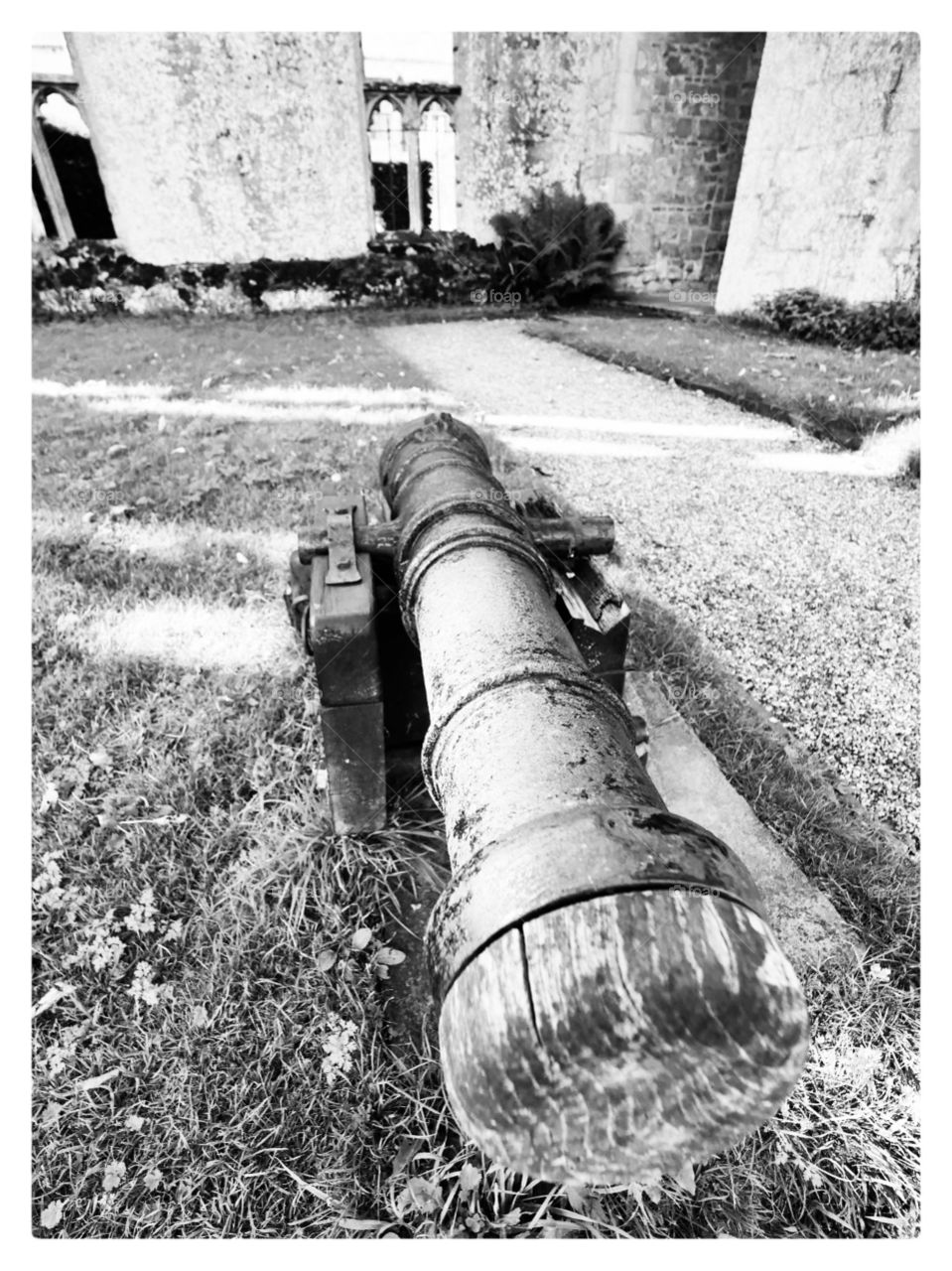 Castle. Cannon