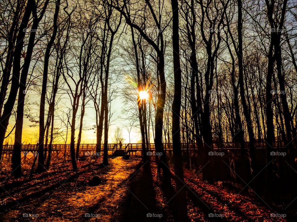 Sun going down from the hiking tail in Indiana