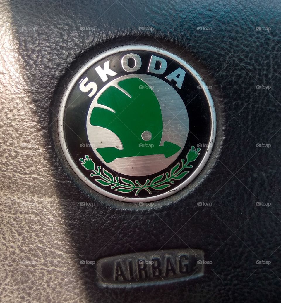 Skoda logo. Airbag