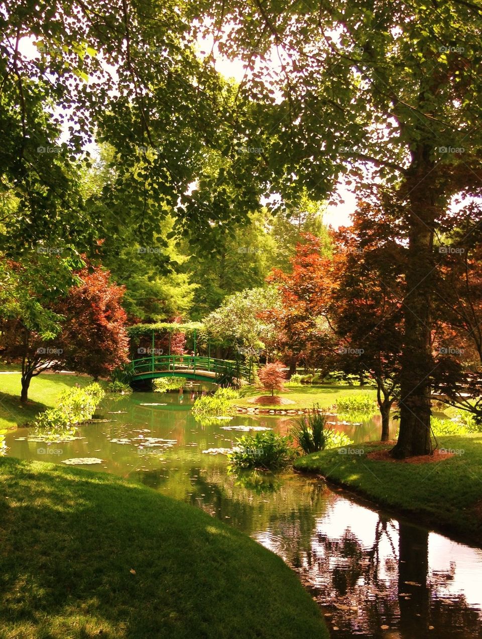 View of bridge over pond