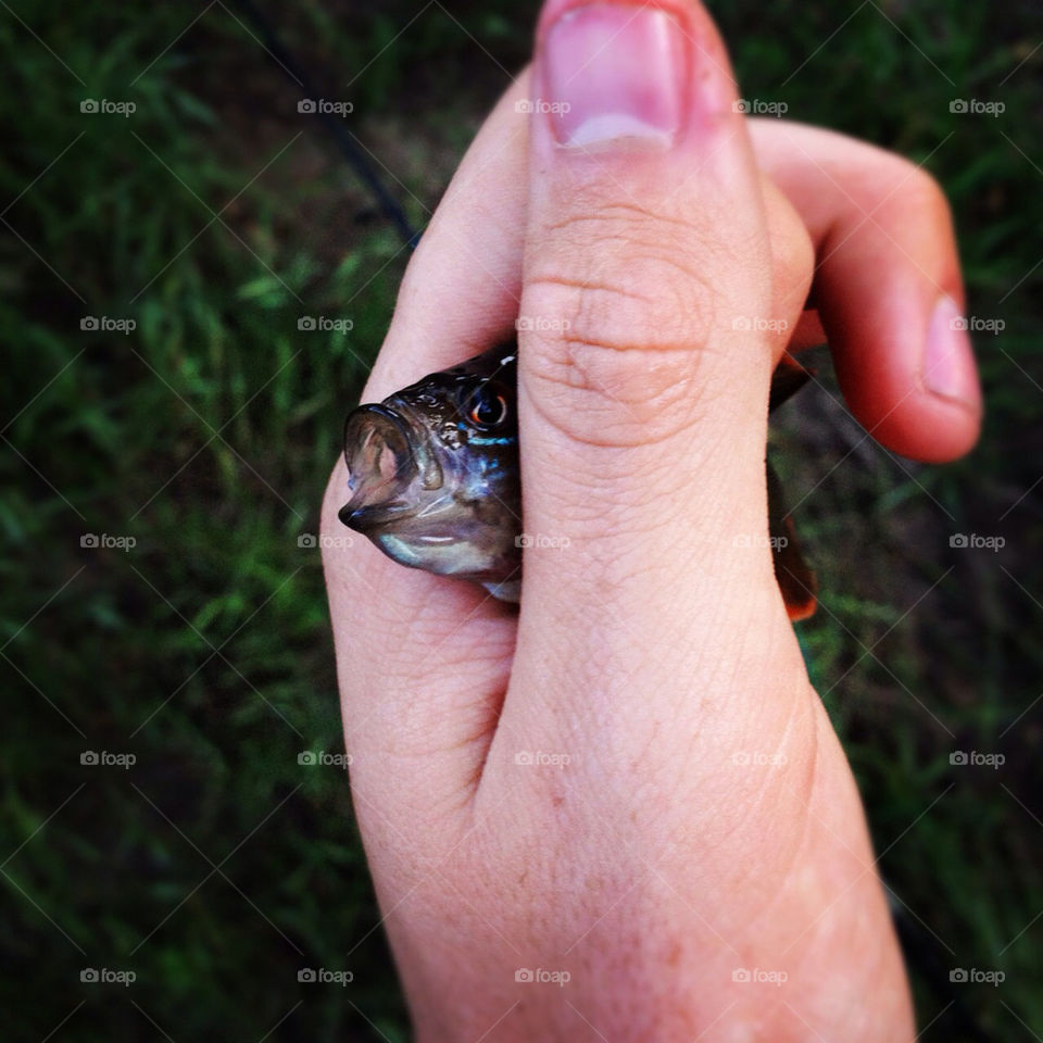 fish cute tiny fishing by MarshallSears
