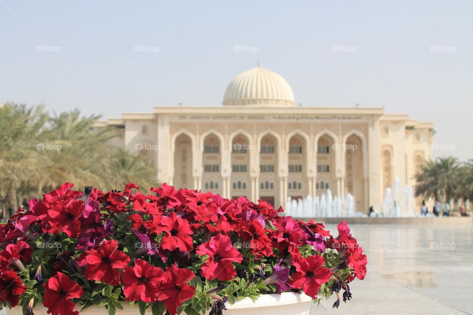 Flowers and architecture 
