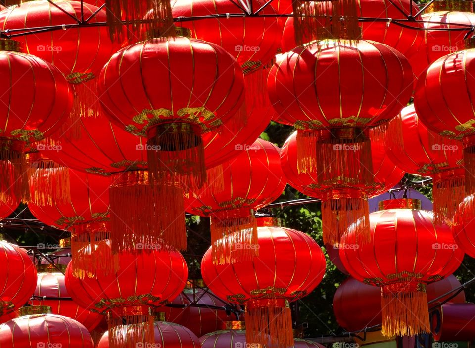 Chinese Lanterns
