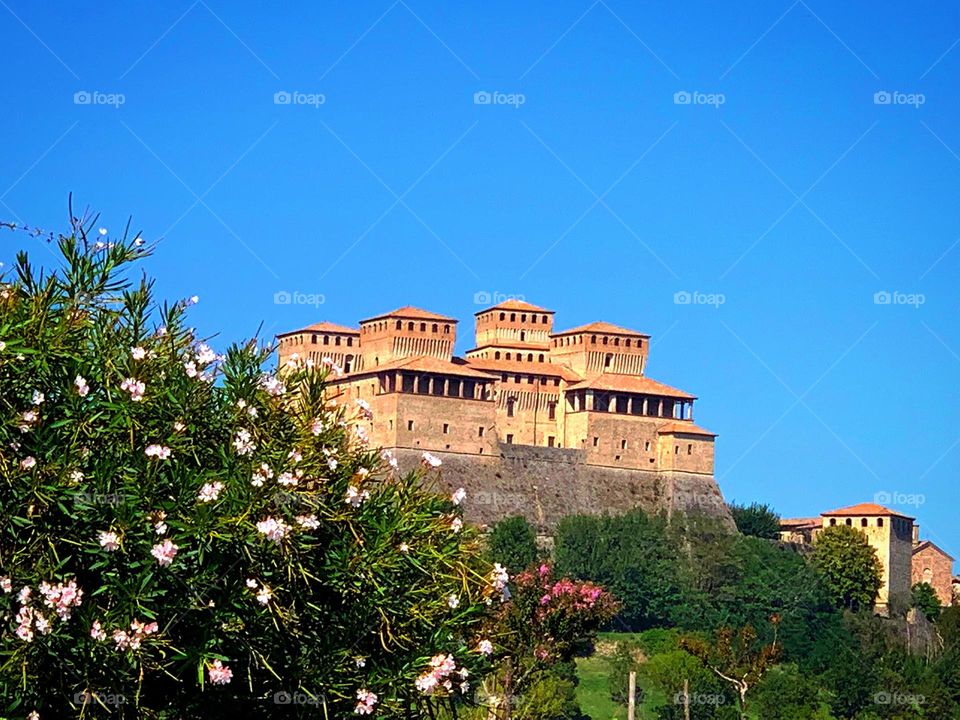 Castle of Torrechiara among green trees and shrubs.  In the foreground is a flowering magnolia bush.  Parma.  Italy