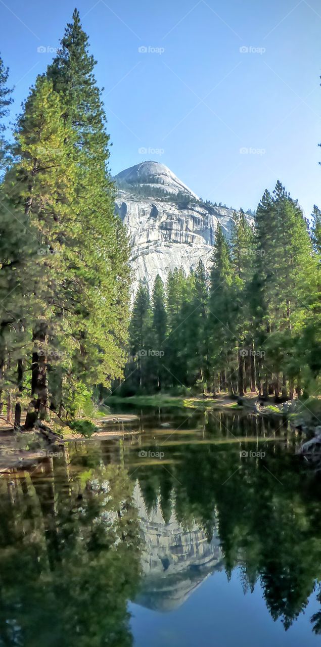 Half dome reflection