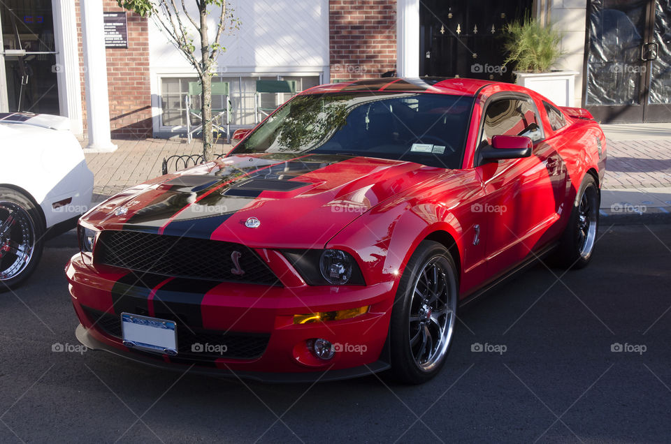 Mustang Cobra