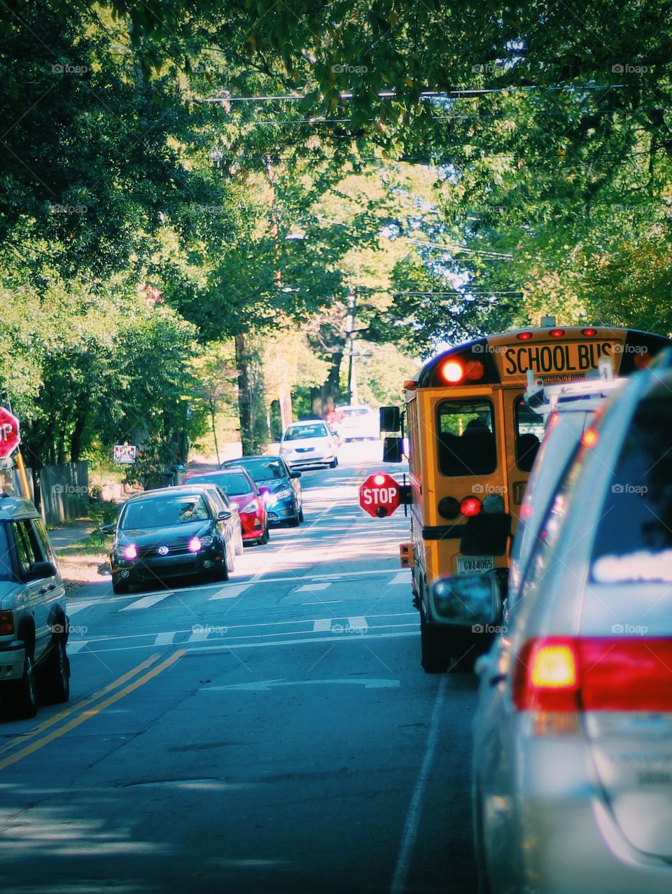 School bus commuting in afternoon dropping children in community while the bus stops and all traffic obey the rule stopping on both sides and giving safe passage to children