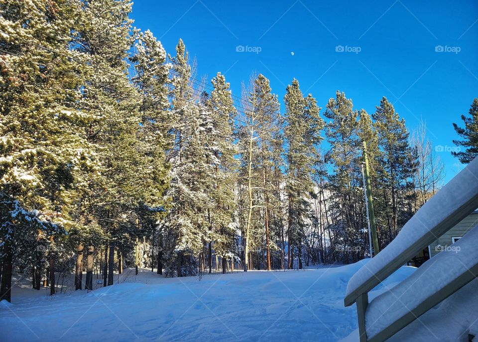 Moon in the bright blue winter sky