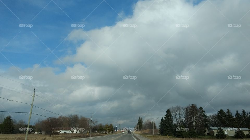 Landscape, Tree, Sky, Nature, Daylight