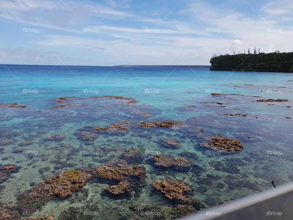 coral reef in Lifou