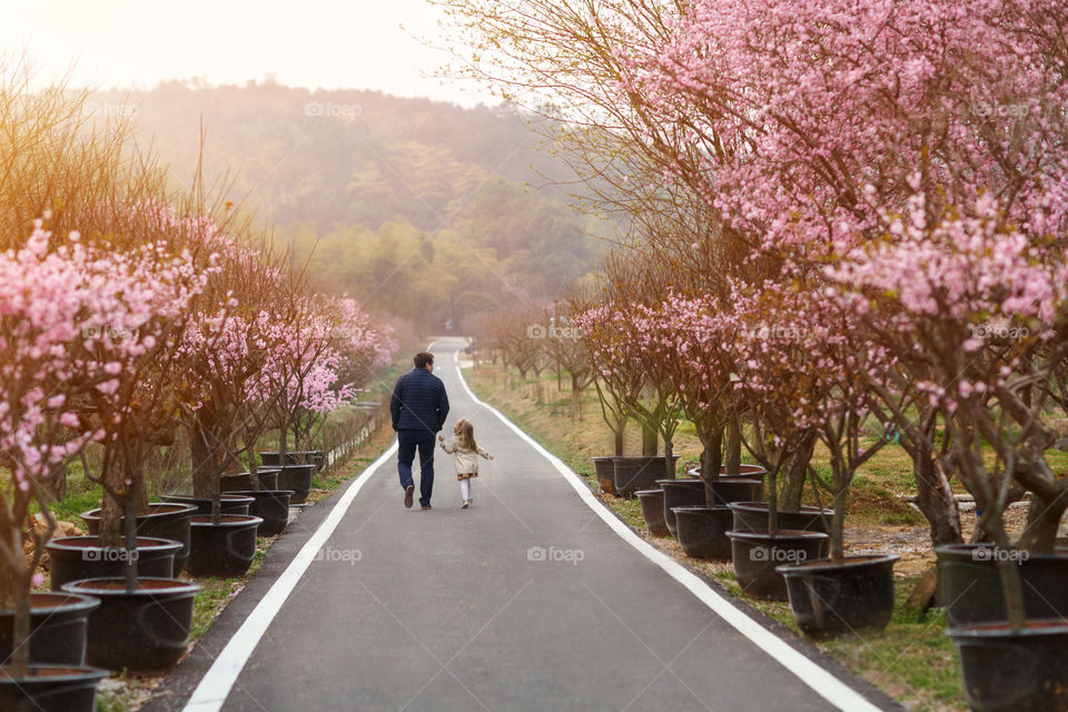 Dad walking with daughter in spring park