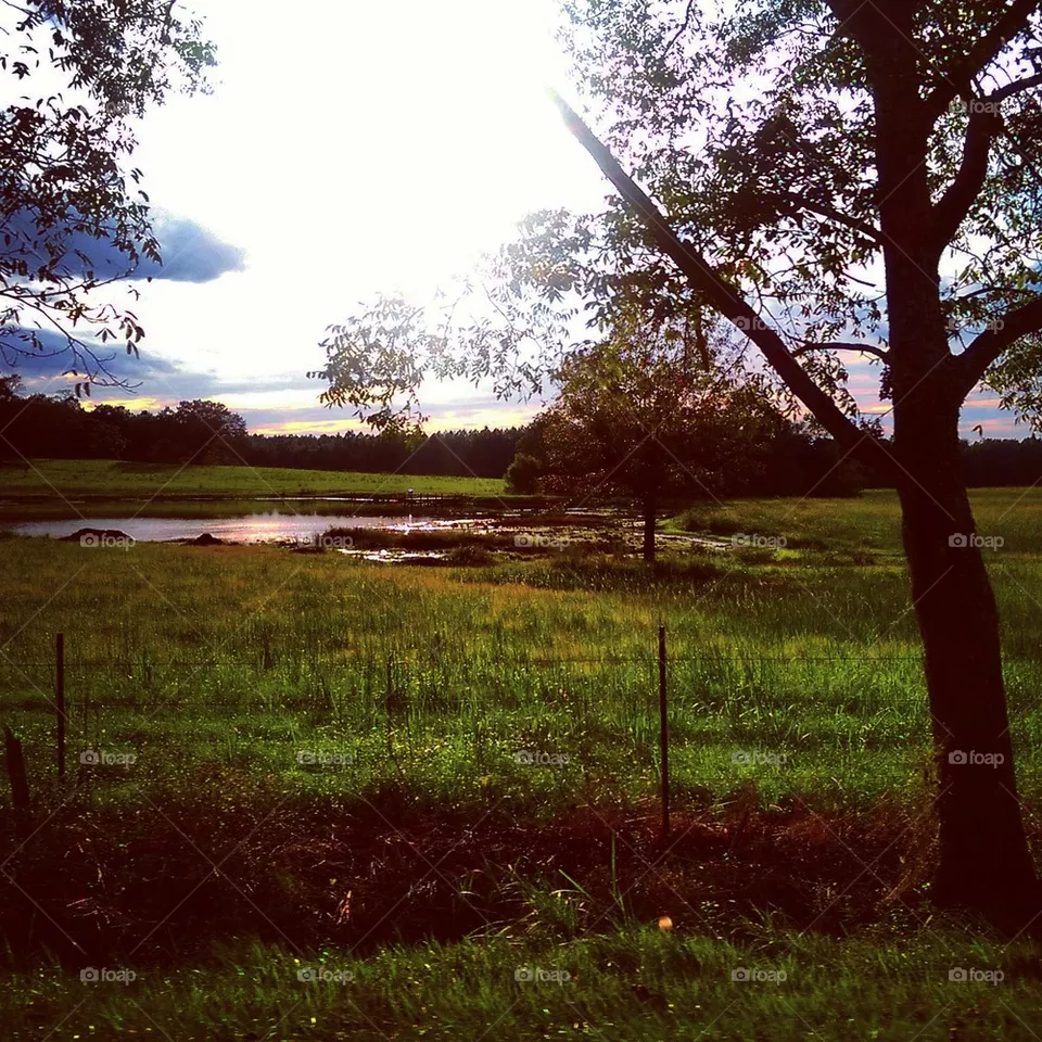 Lake 