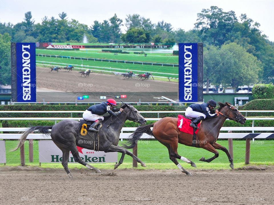 Racing from Saratoga . Theophilia beats Carrumba on opening weekend at historic Saratoga. 

Zazzle.com/Fleetphoto 