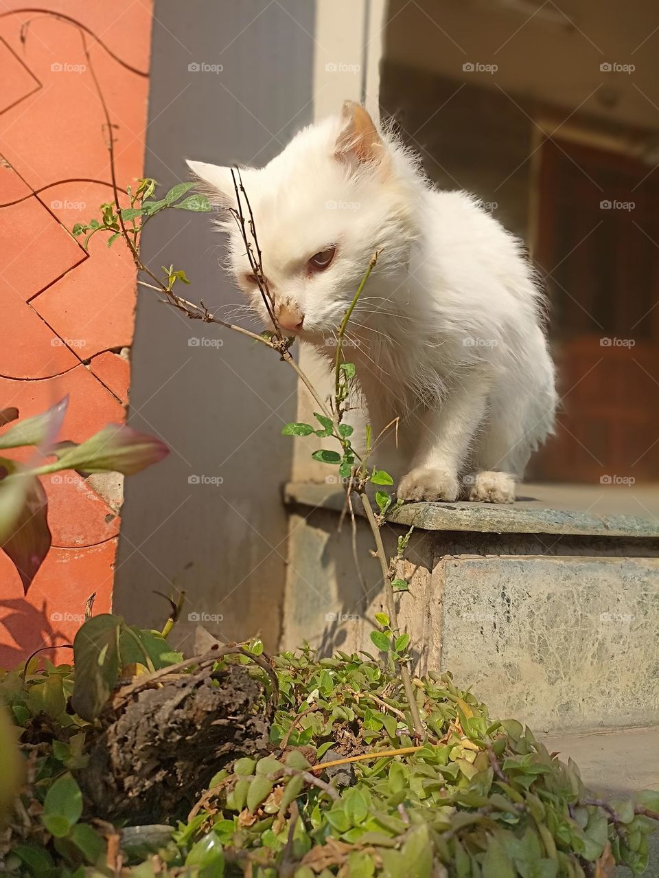 serching something to eat