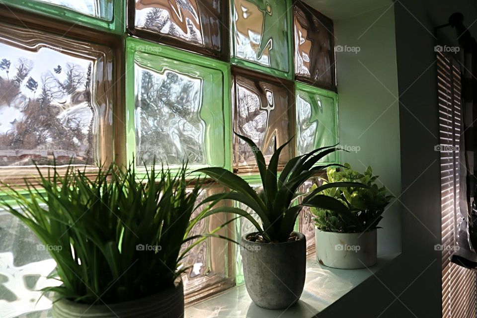 Green succulent plants in a row on the window sill with green and brown glass block behind them