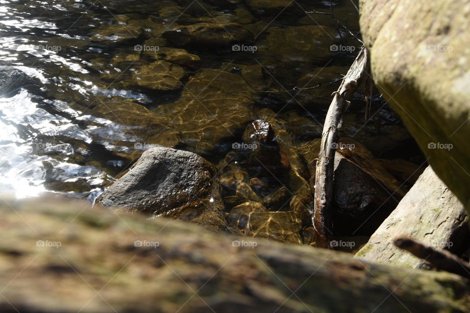 Serenity by the water