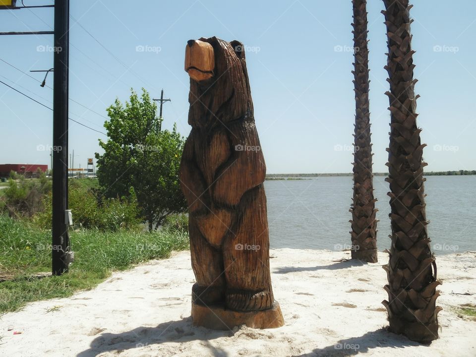 Grizzly bear 🐻. This is a picture of a wooden Grizzly bear 🐻 carved out of oak. 👣 🚶 🏃 🔥 💨 I saw this on the way to Jacksboro Texas