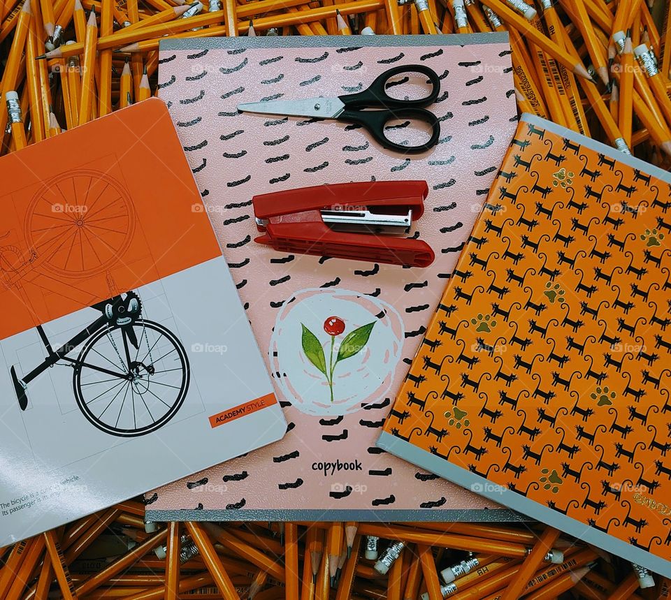 School time 🏫 Copybooks, pencils, stapler, scissors ✏️📝📓🖊️