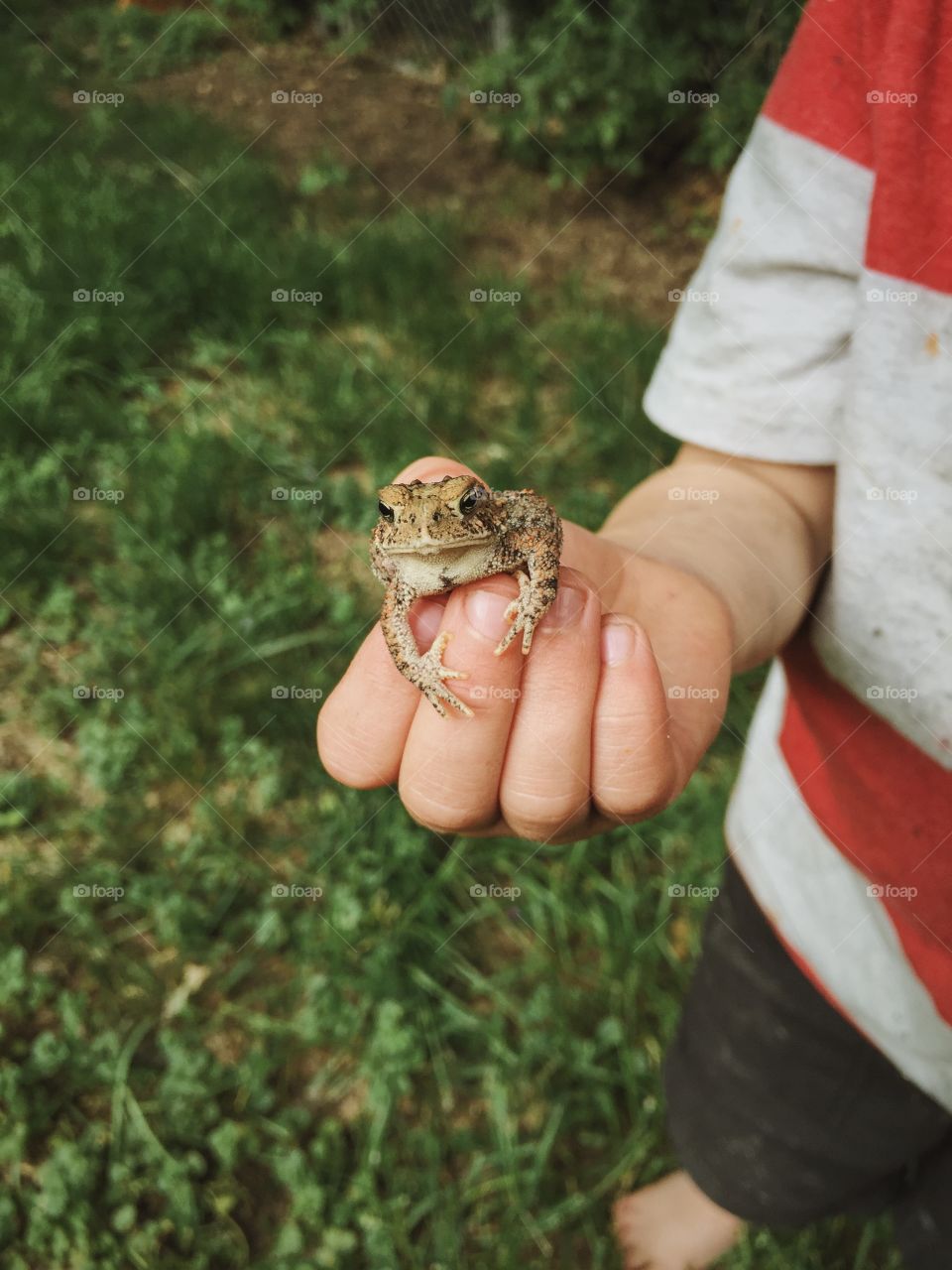 Child holding a toad