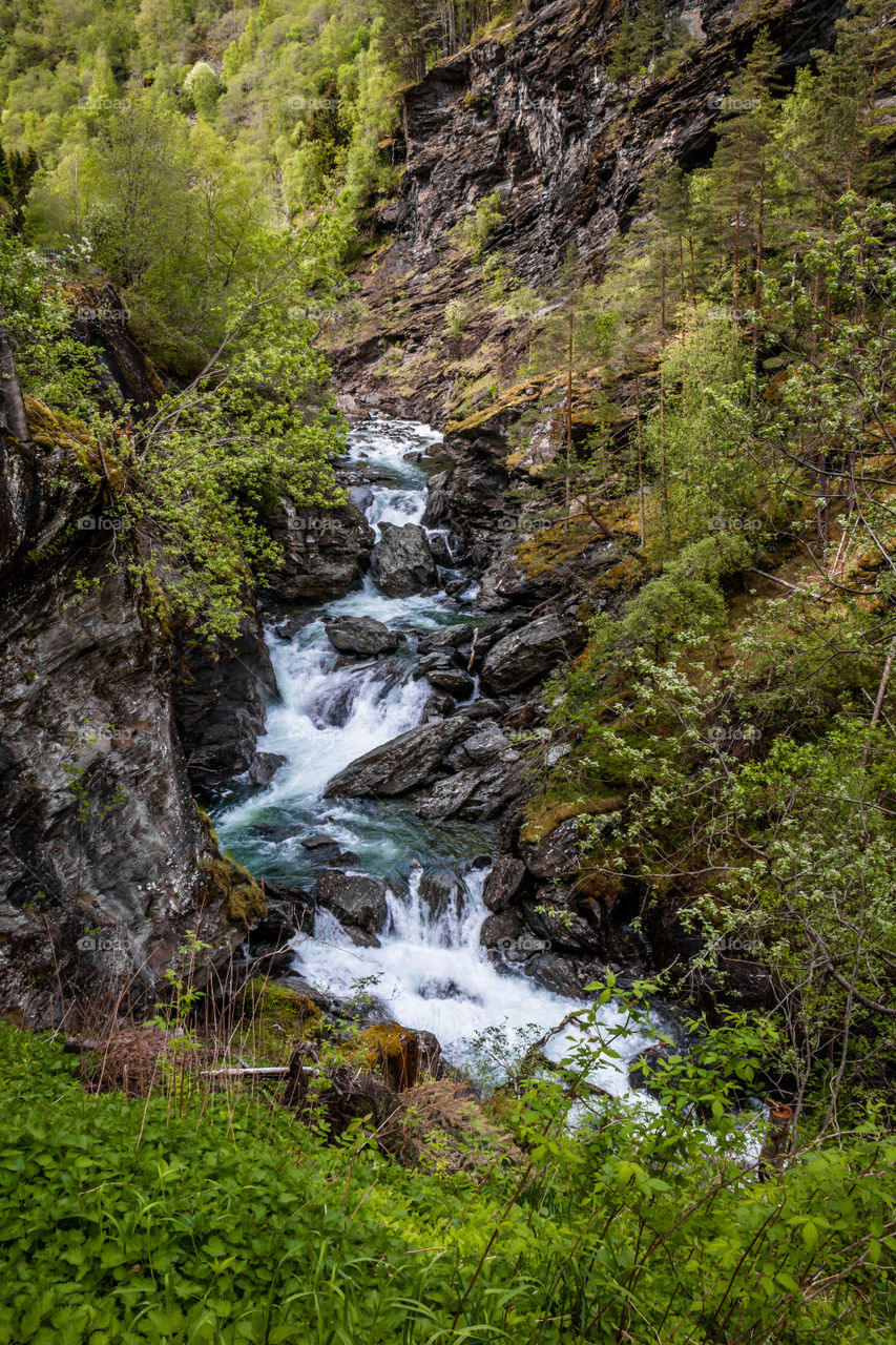 Running Stream in Norway