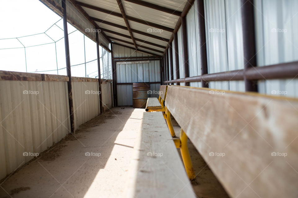baseball bench