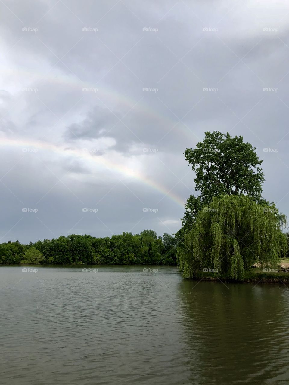 Rainbows Over Holiday Lake, rainbow, rainbows, double, double rainbow, lake, Holiday Lake, lake, willow, tree, trees, water, clouds, storm, sky, weather 