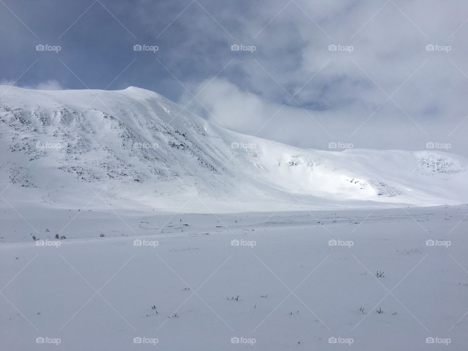 Winter in the mountain 