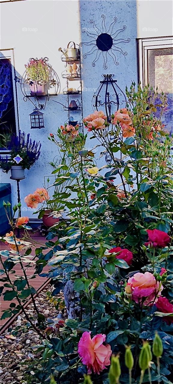 This beautiful well kept garden in rural „Lower Bavaria“, Germany has many components: trees, bushes, lawn and flowers as well as various garden sculptures, a rose bow and many hanging plants. 2024. Hypnotic Productions