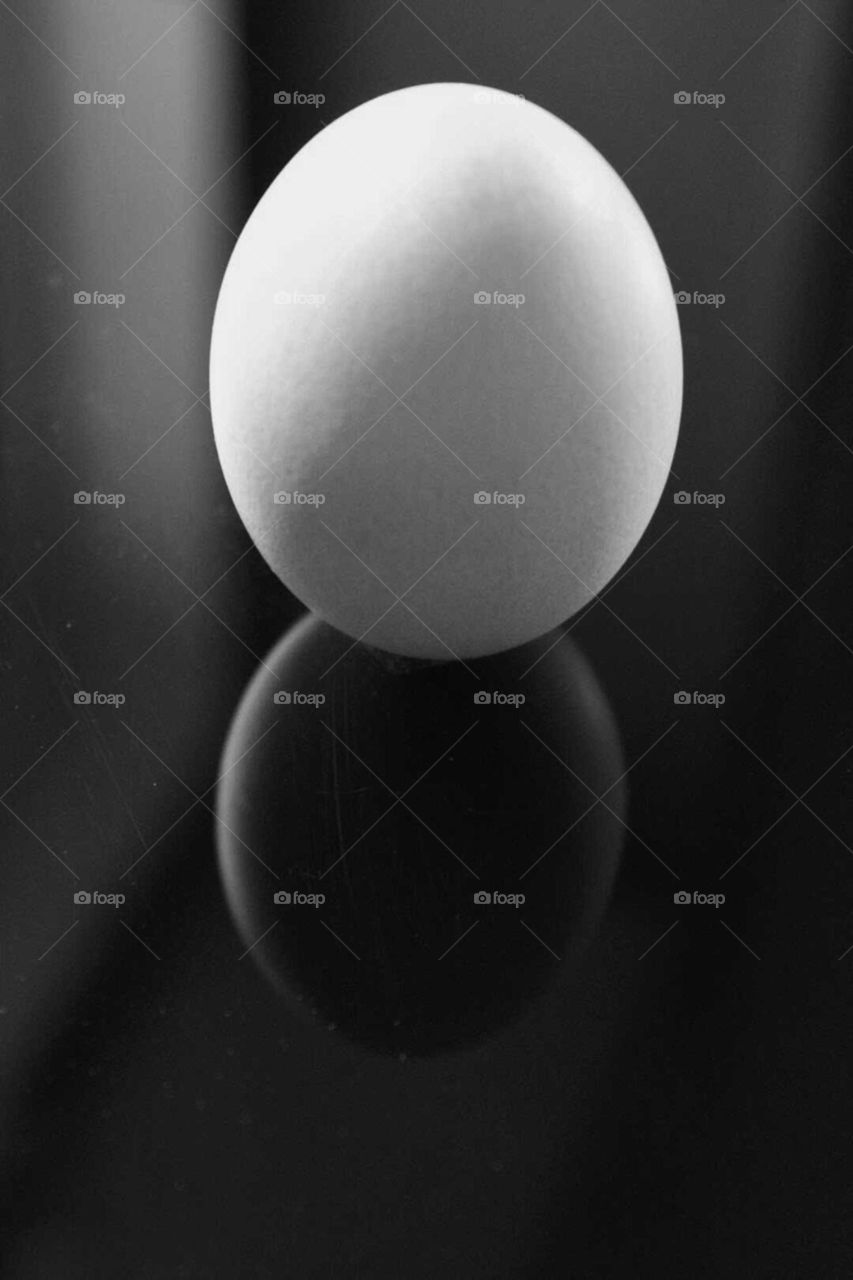 Egg Reflection