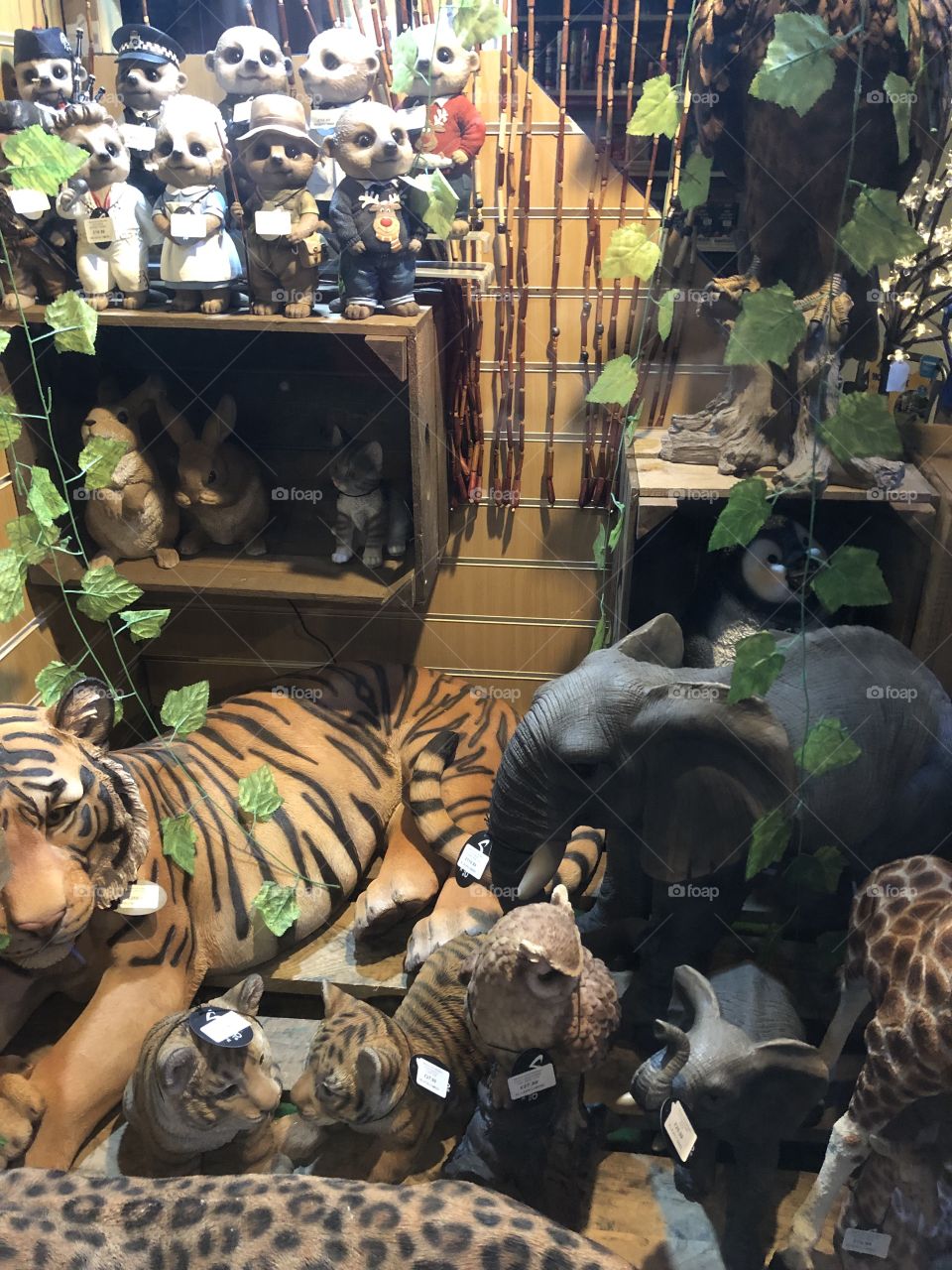 A shop window full of animals, l was quite fascinated.