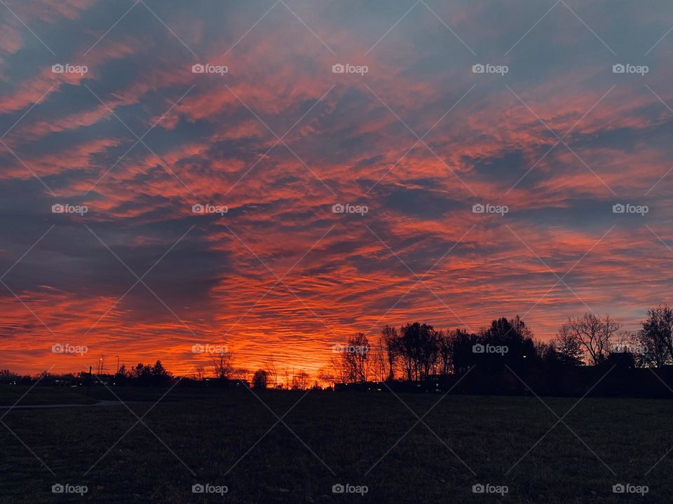 A late Autumn morning sky in the Midwest, is so beautiful. It’s otherworldly, in its hues of reds and blues. 