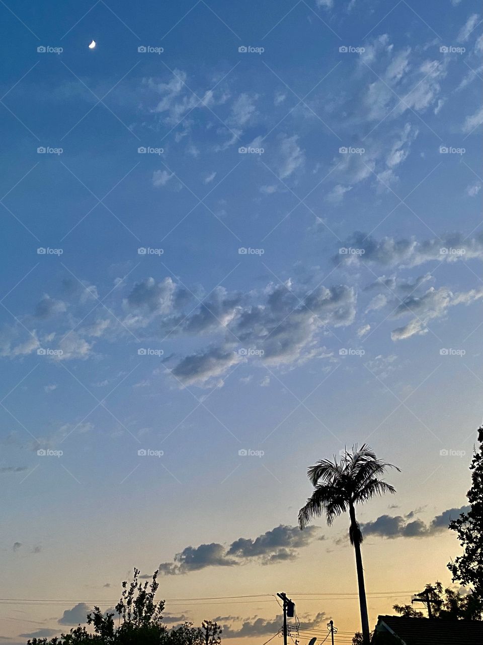 Beautiful sunset in Los Angeles California 