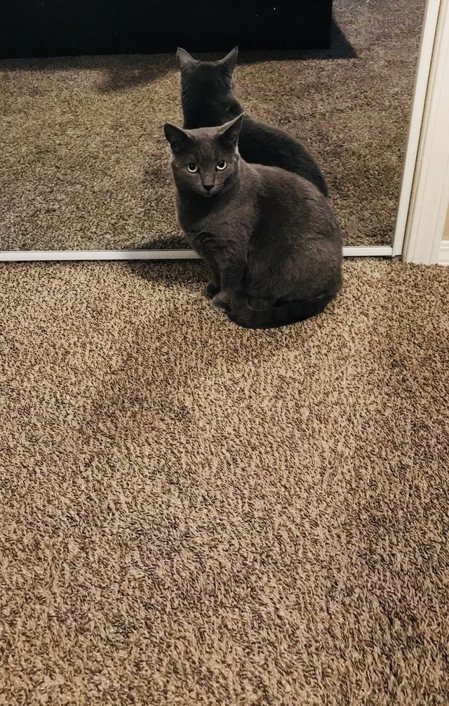 Sitting pretty 