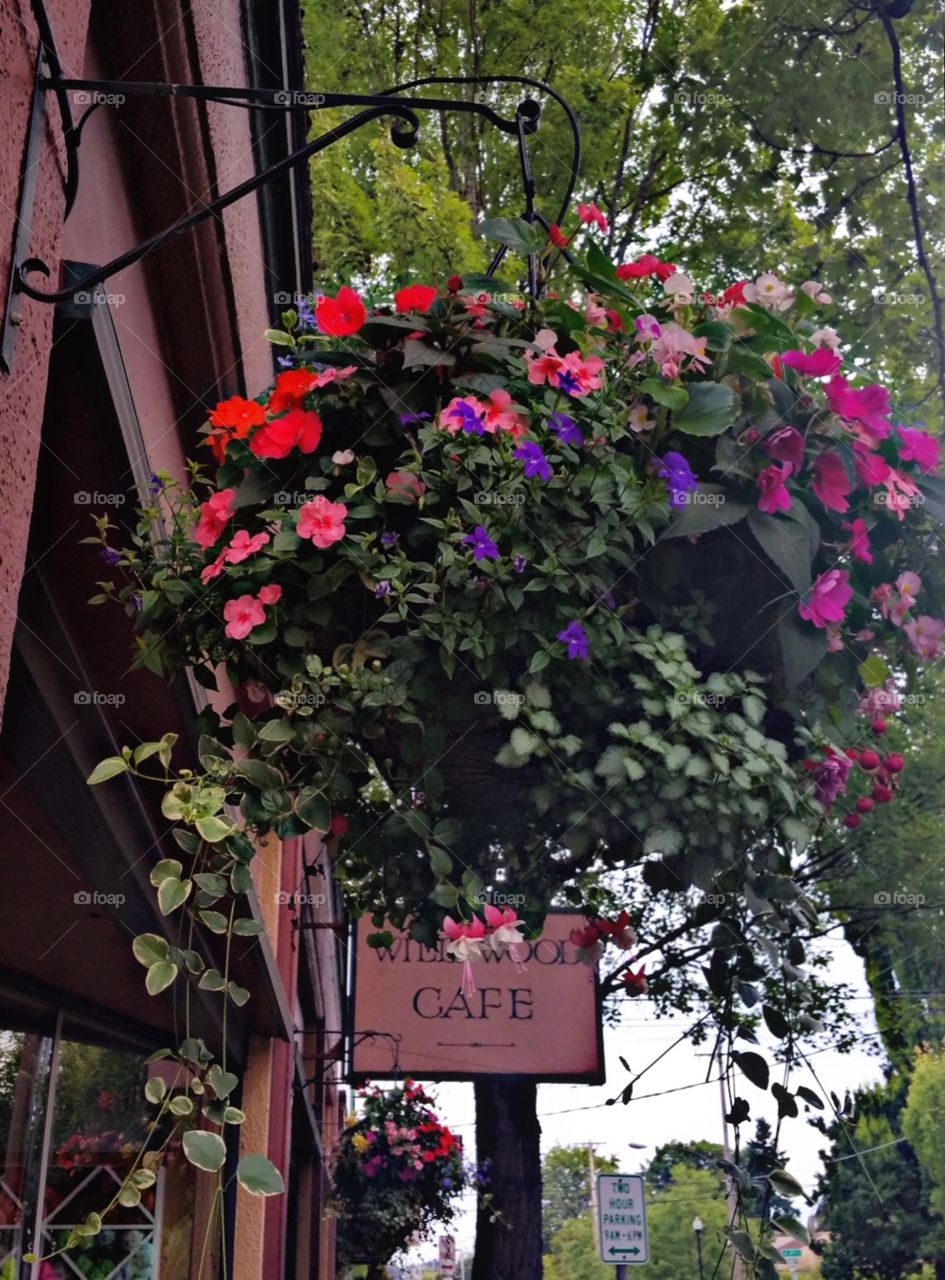 Flower Baskets on Main St. Hanging Flower basket on Main Street in old town Mcminnville, Or