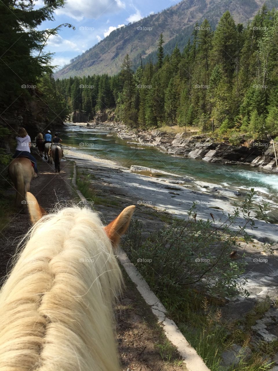 Glacier national park 