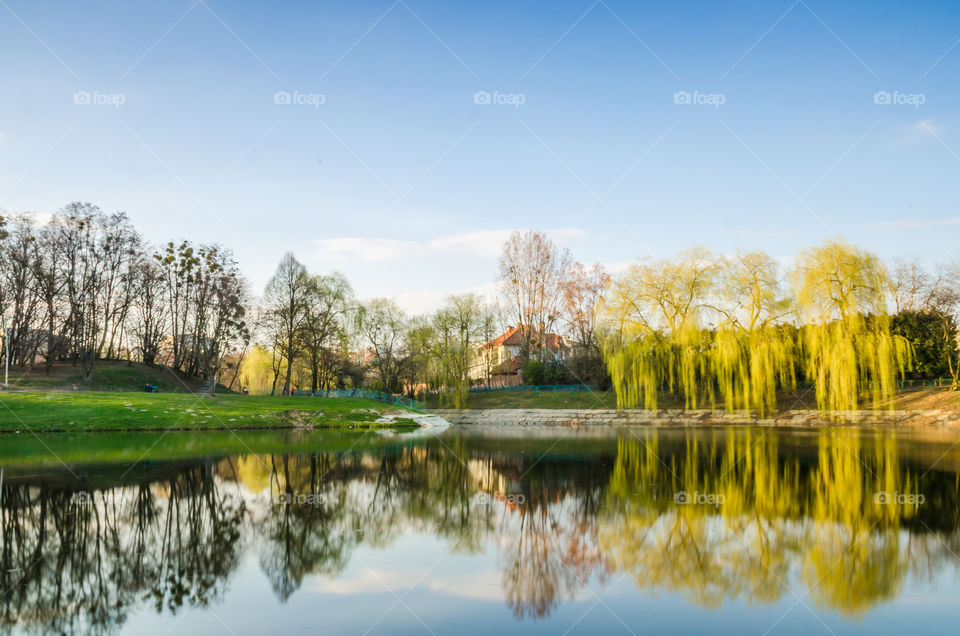 City park with lake in the spring season