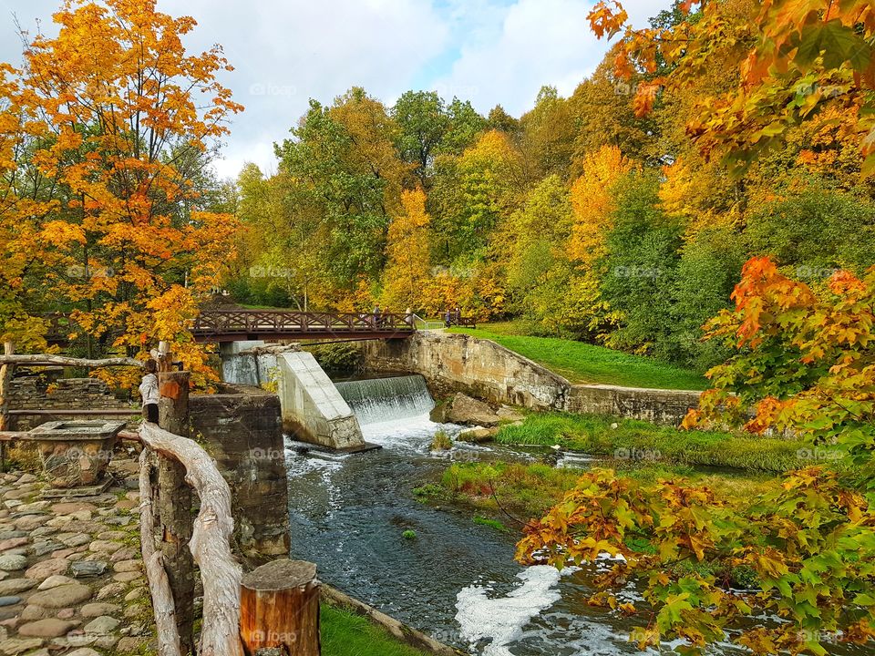 The beauty of autumn.