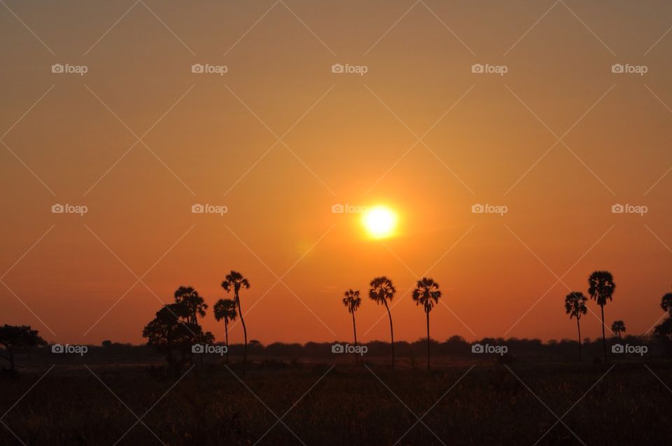 Sunset in Tanzania 