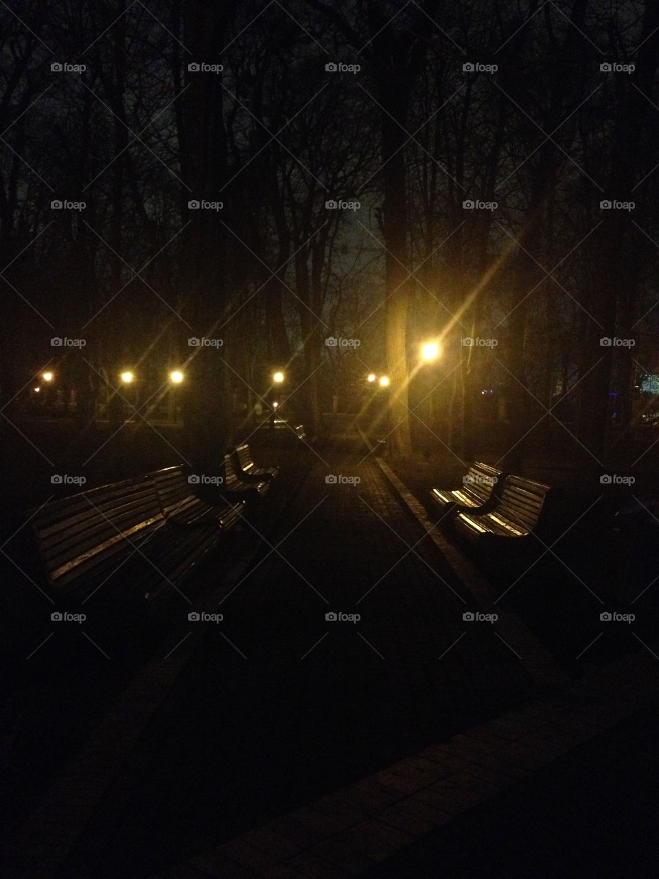 Walkway in the park at night