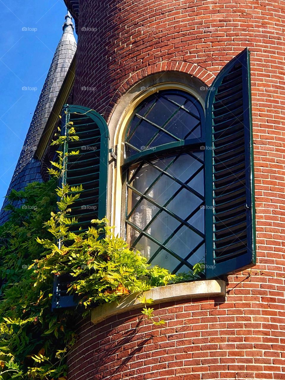 Castle wooden windows