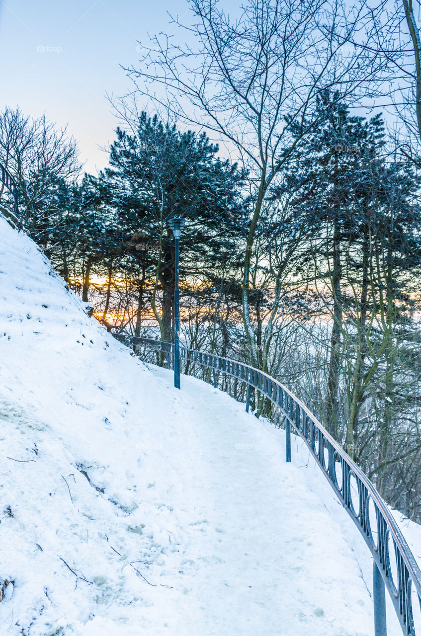 Nature landscape during sunset