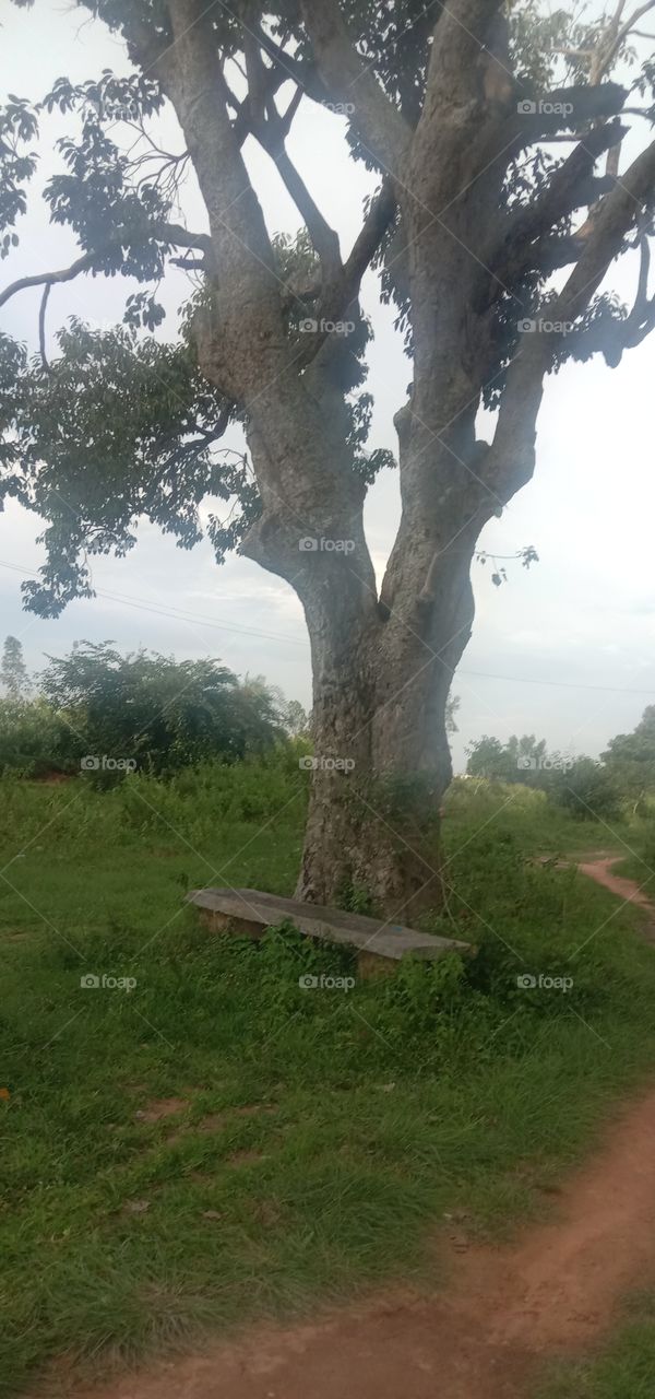 Those who fly solo has the strongest wings 🕊️❤️✨