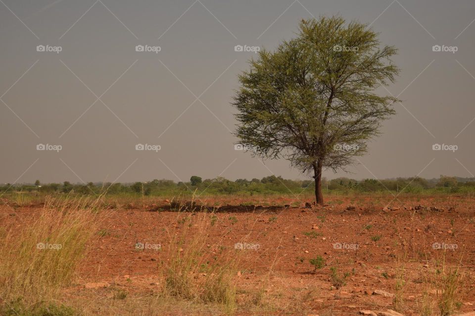 rural indian aesthetic