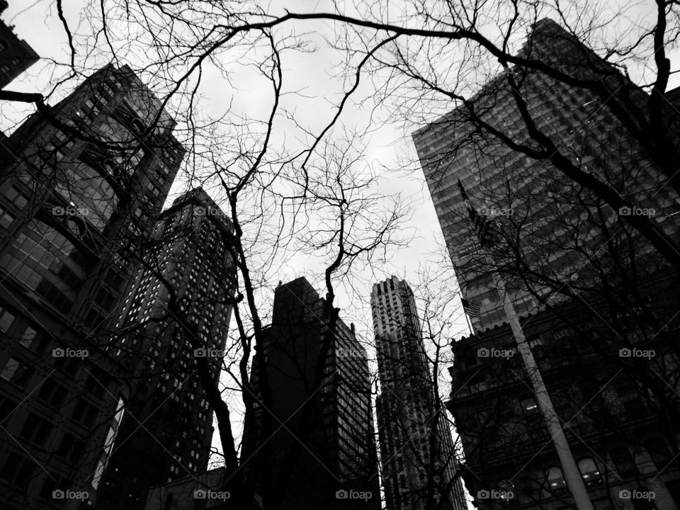 Manhattan architecture 